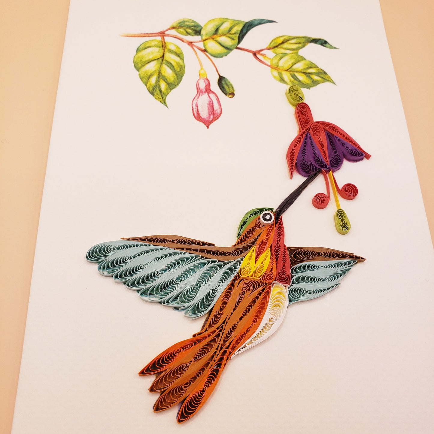Rufous hummingbird and Fuchsia Flower