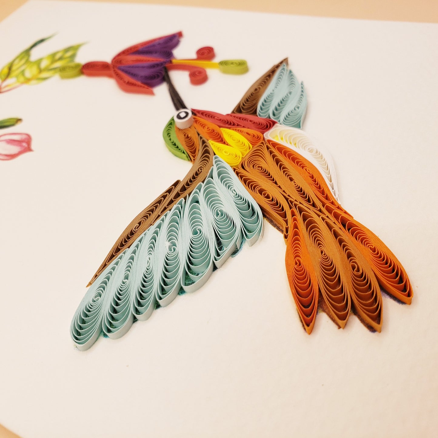 Rufous hummingbird and Fuchsia Flower