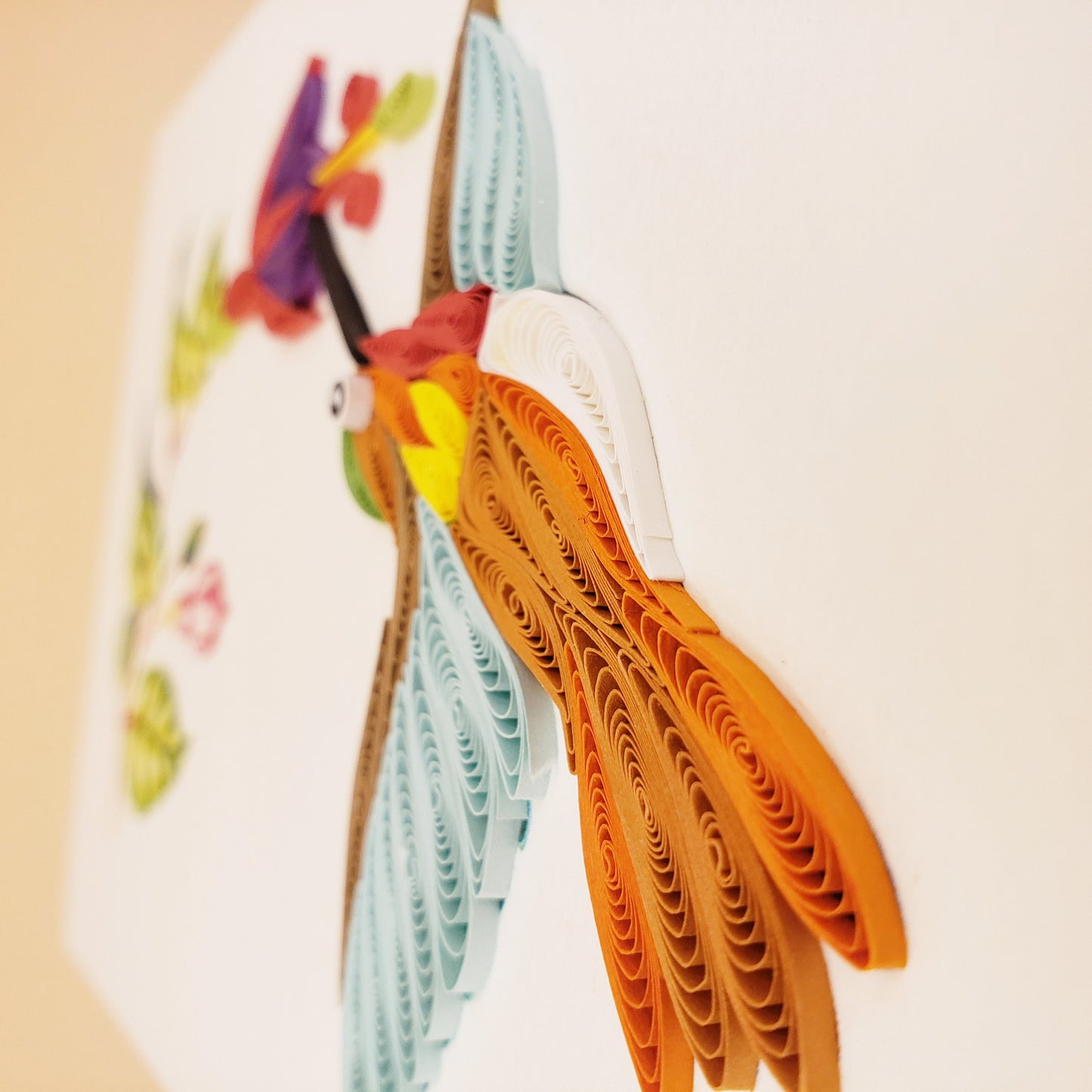 Rufous hummingbird and Fuchsia Flower