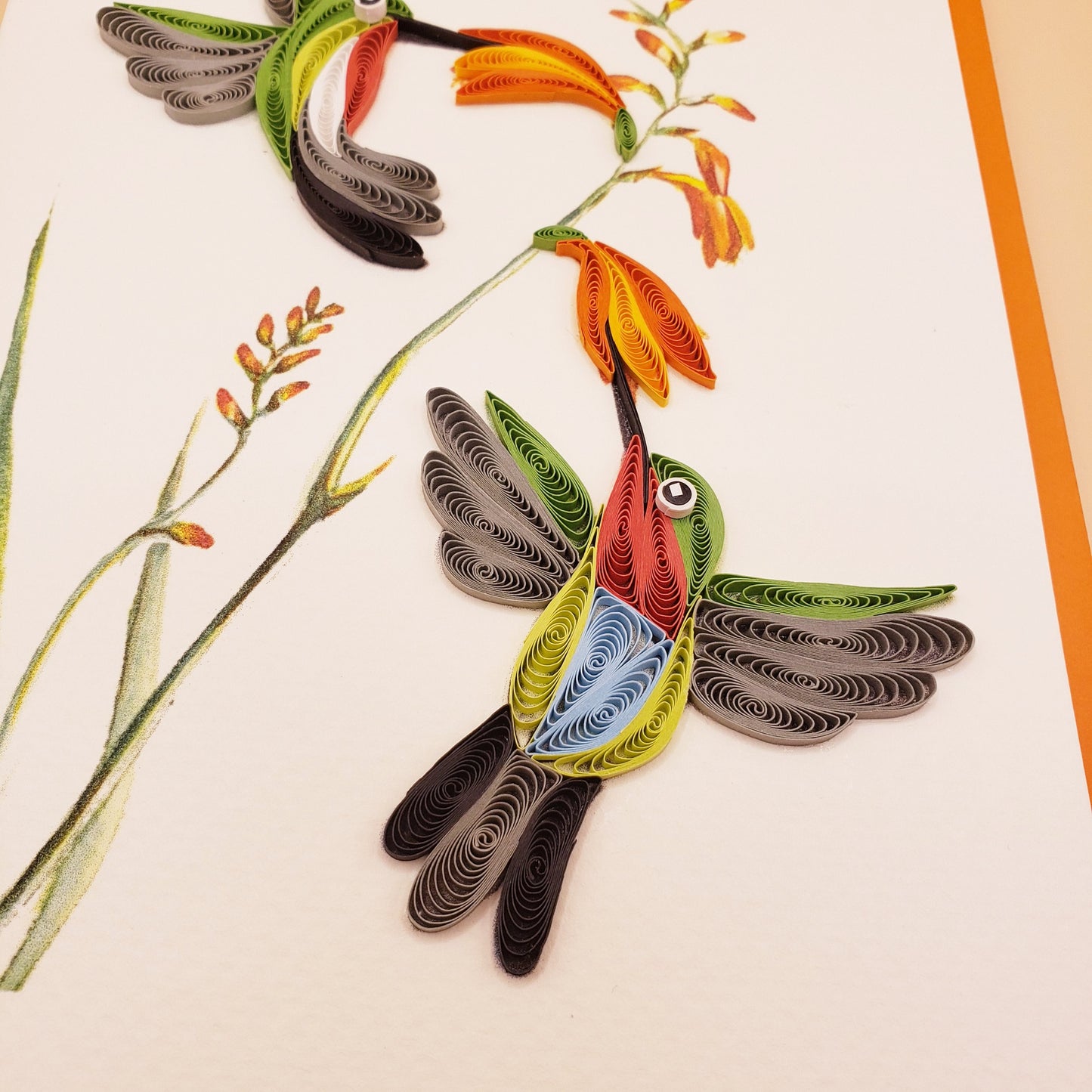 Ruby-Throated Hummingbirds & Coppertips