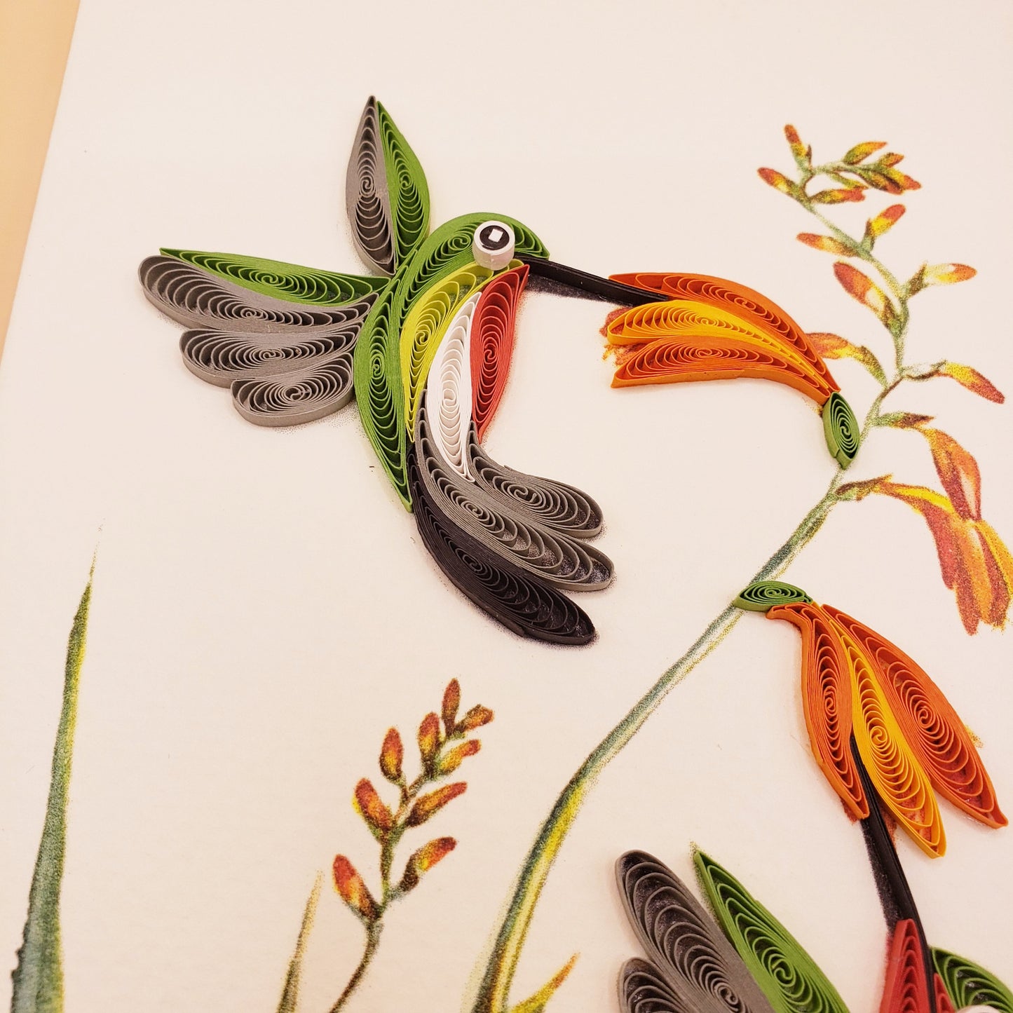 Ruby-Throated Hummingbirds & Coppertips