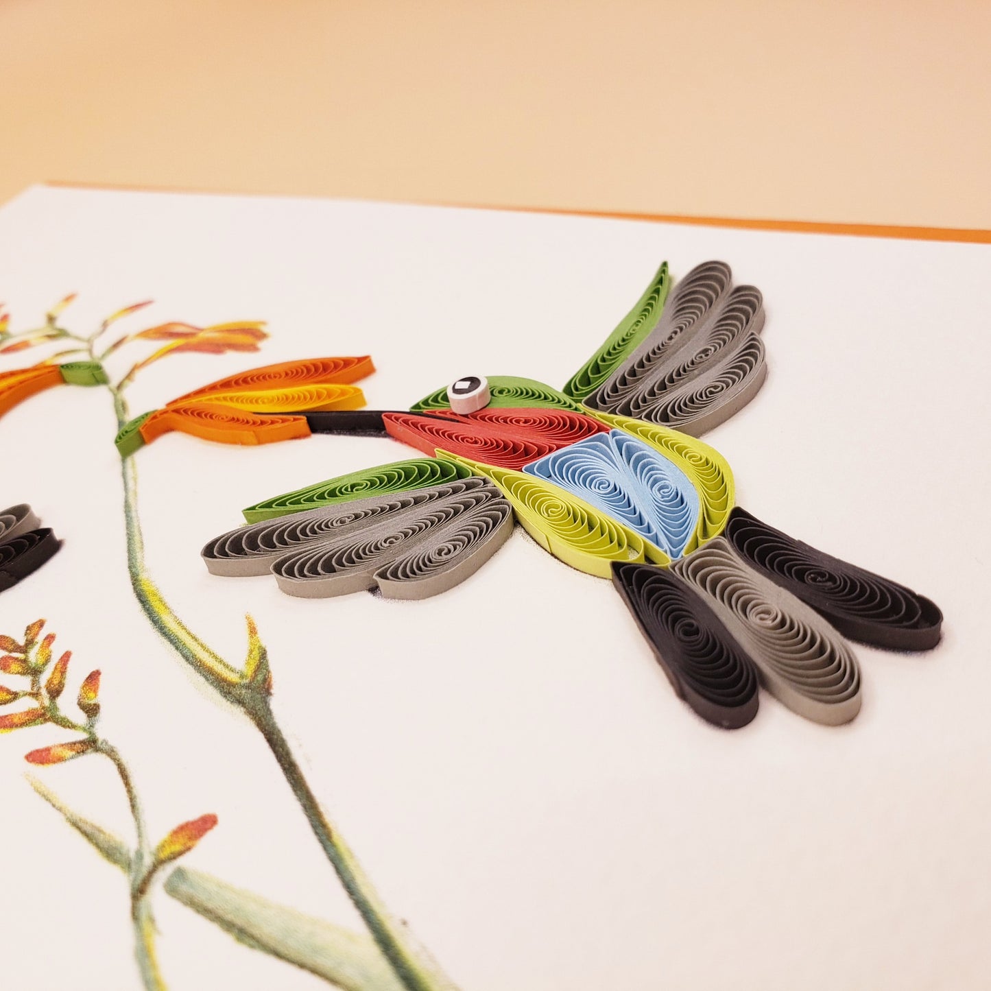 Ruby-Throated Hummingbirds & Coppertips