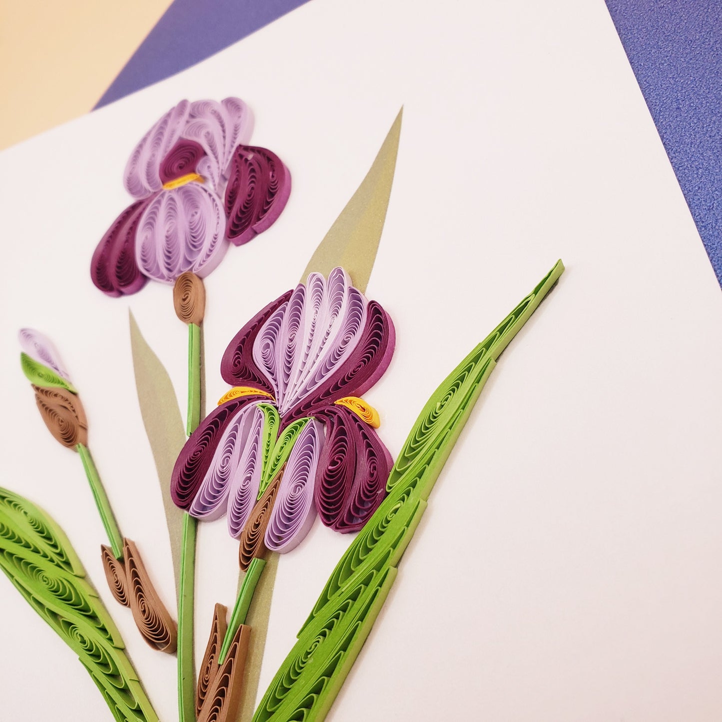 Irises | Quilled Greeting Card - Handmade