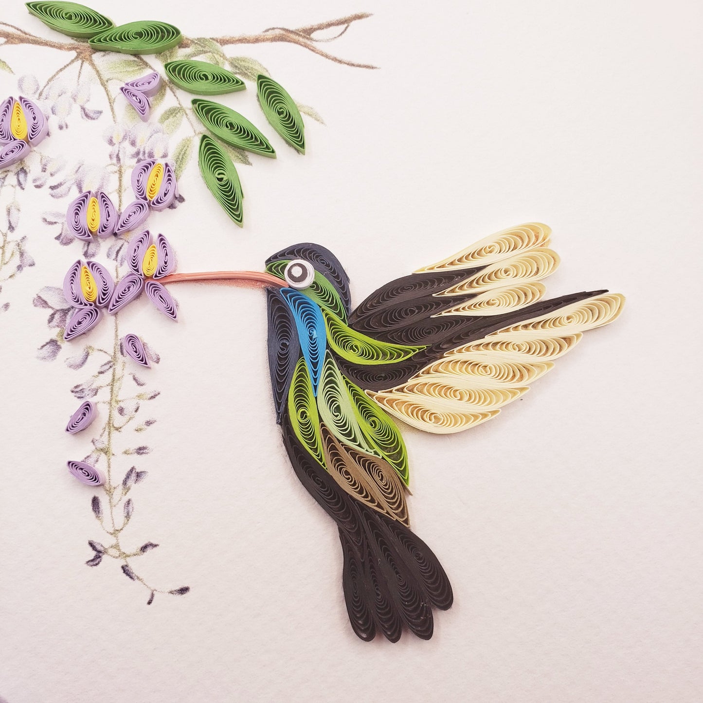 Broad-Billed Hummingbird and Wisteria