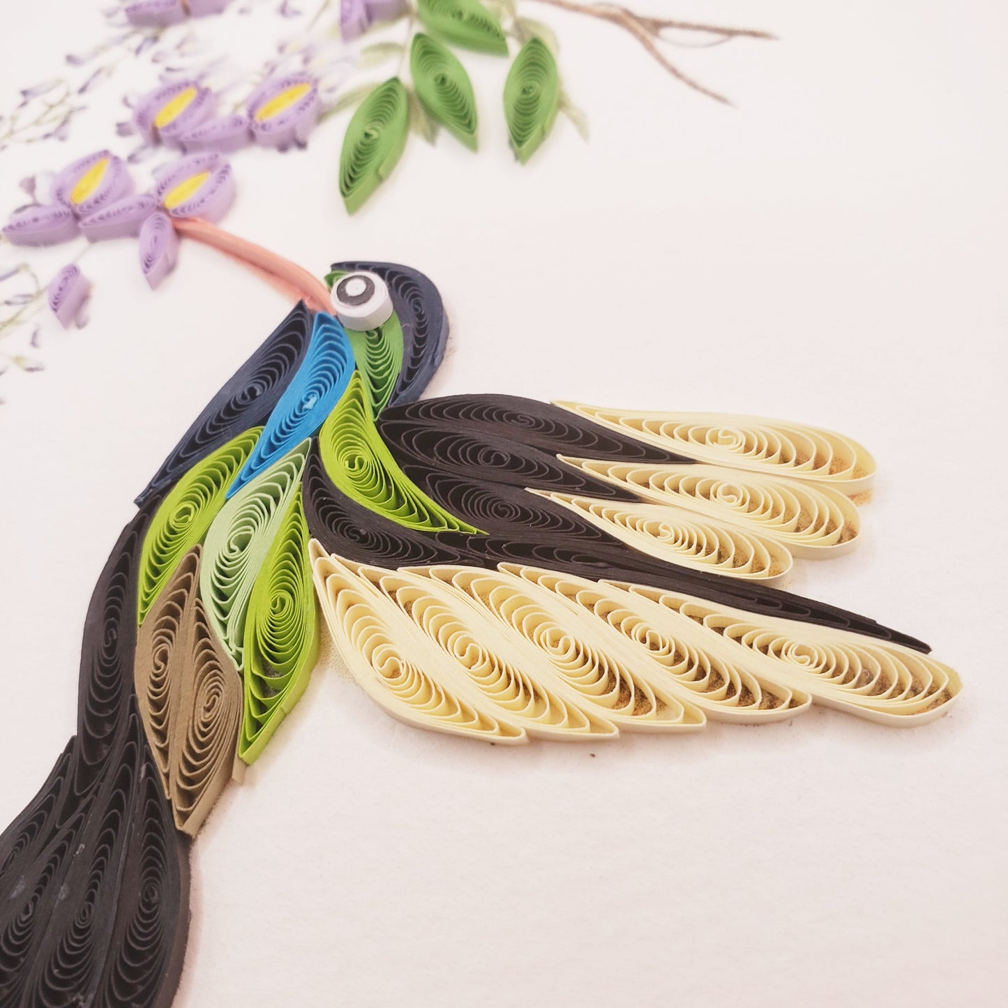 Broad-Billed Hummingbird and Wisteria