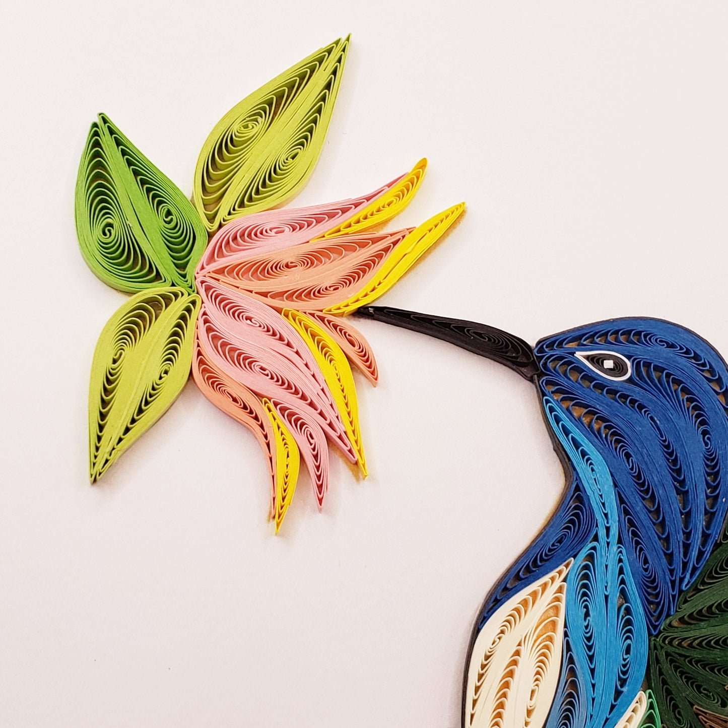 Jacobin Hummingbird Quilled Card | Handmade Greeting Card