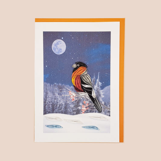 Bullfinch Bird on a Snowy Night