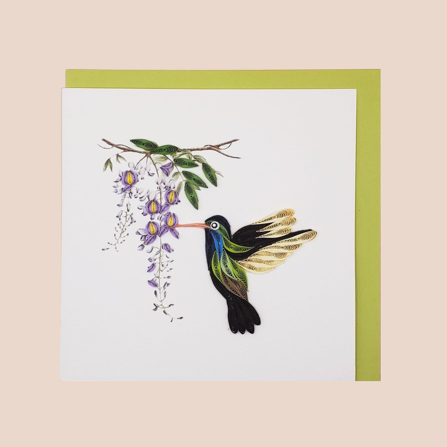 Broad-Billed Hummingbird and Wisteria