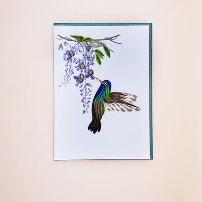 Broad-Billed Hummingbird and Wisteria